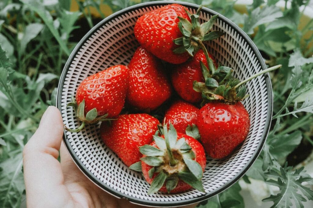 truskawki na balkonie