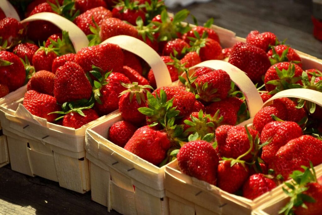 kiedy sadzić truskawki