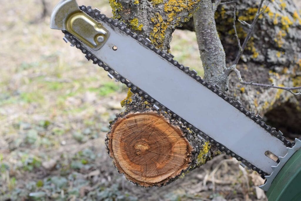 piła łańcuchowa