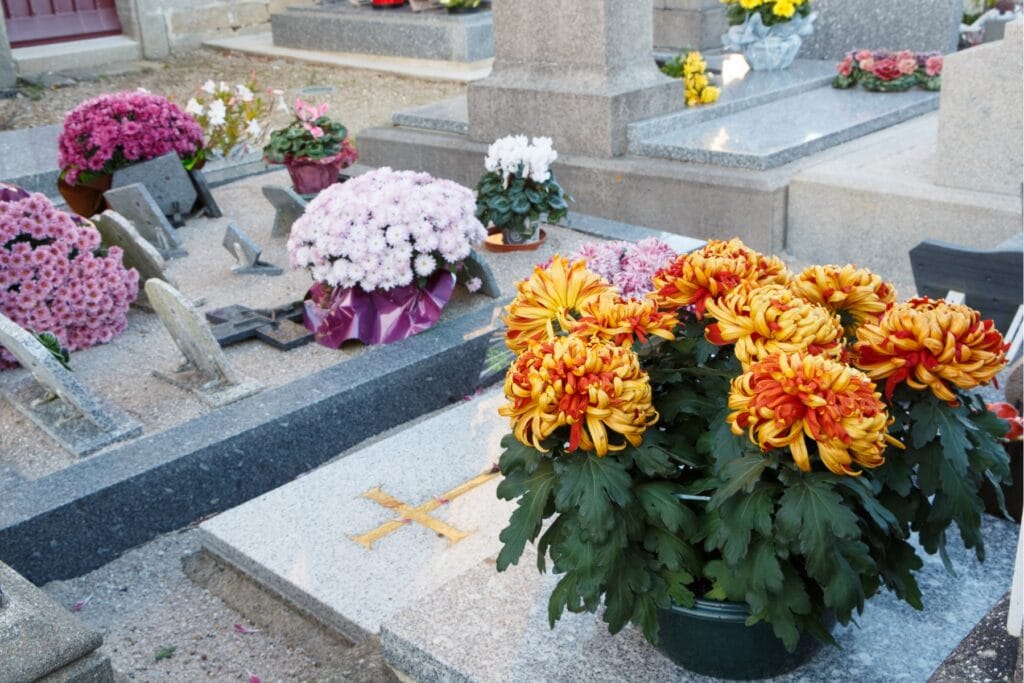 kwiaty na cmentarz