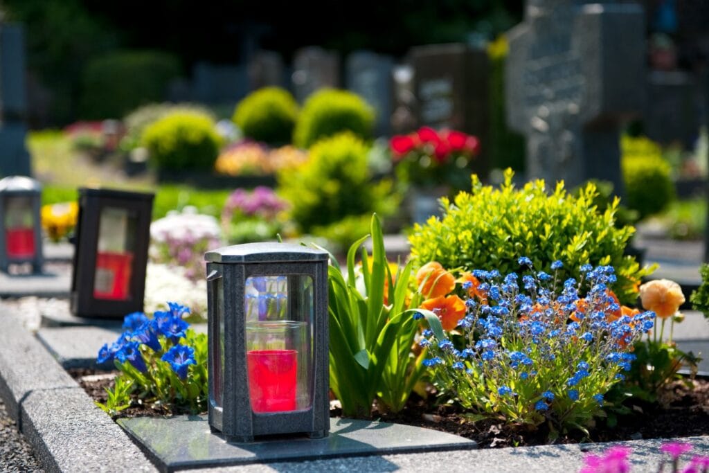 kwiaty na cmentarz