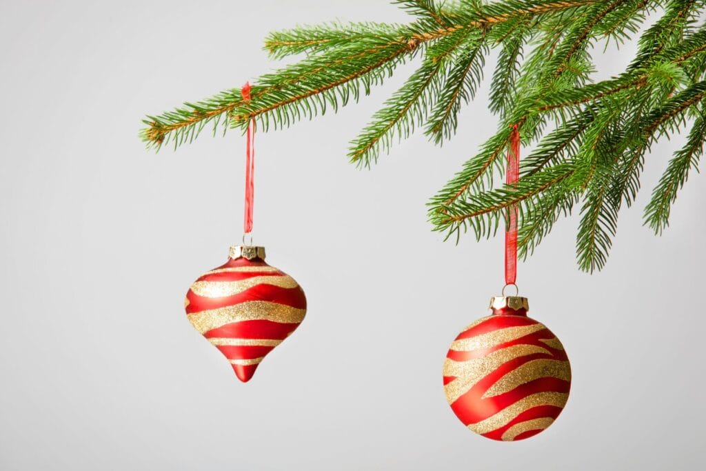 która choinka nie gubi igieł