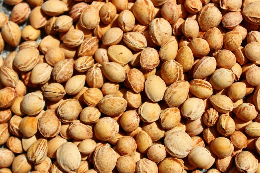 Pestki wiśni na opał