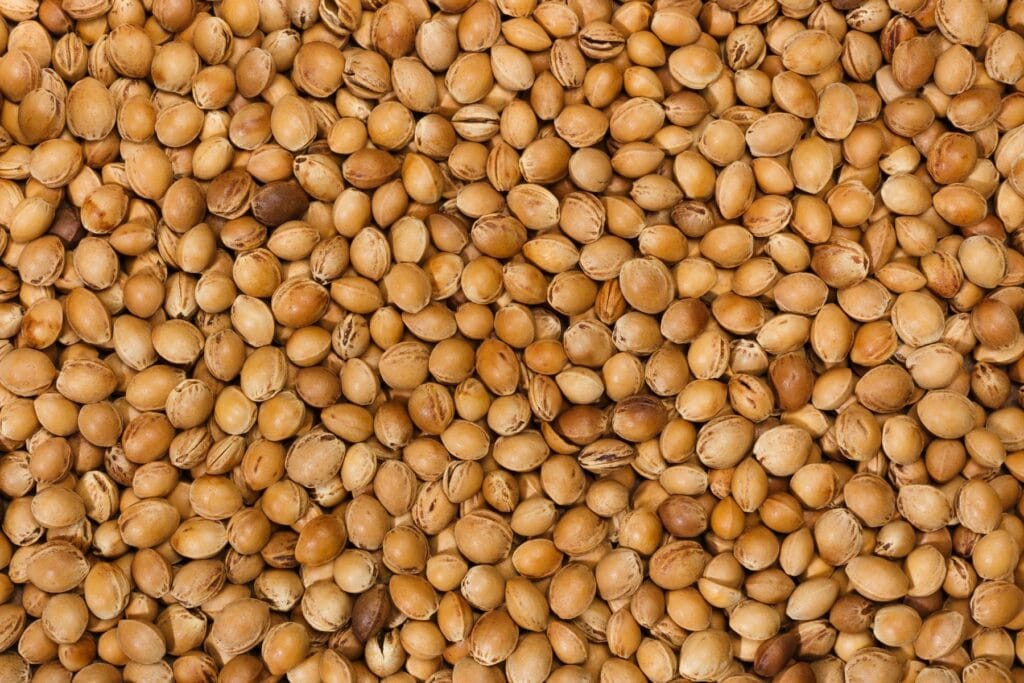 pestki wiśni na opał