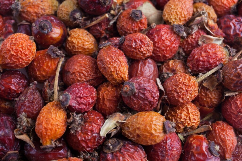 Suszone owoce dzikiej róży