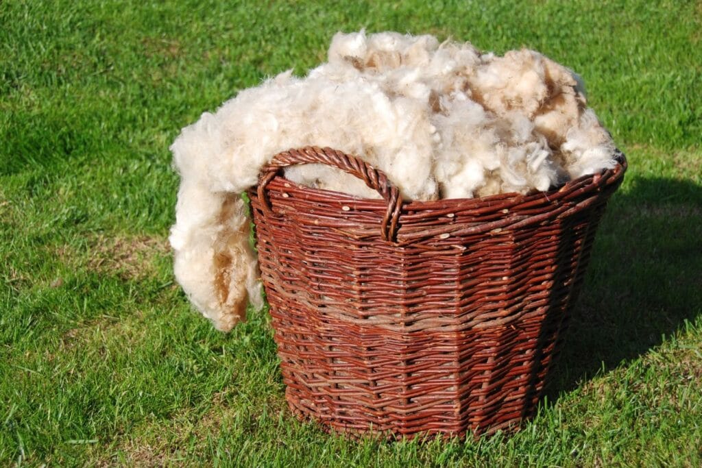 Wełna owcza do owijania pni drzewek owocowych