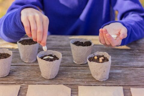 Co siejemy w kwietniu